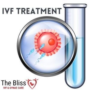 The Bliss Care-IVF Treatment