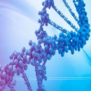 DNA-fragmentation