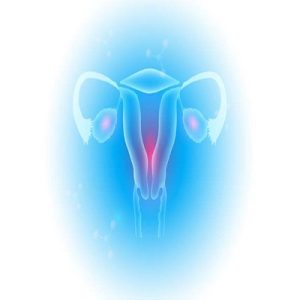 uterine prolapse